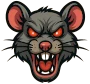 Rat